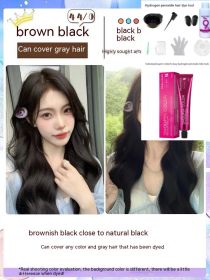 Ammonia-free Hair Color Paste Monochrome Paste Cover White Hair Multi-segment Color One-step Black Tea Gray Blue Black Hair Dye (Option: Black Brown-With tools)