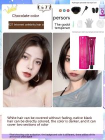 Ammonia-free Hair Color Paste Monochrome Paste Cover White Hair Multi-segment Color One-step Black Tea Gray Blue Black Hair Dye (Option: C6ro77 Chocolate-With tools)