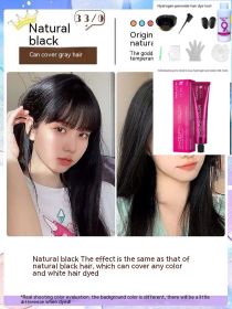 Ammonia-free Hair Color Paste Monochrome Paste Cover White Hair Multi-segment Color One-step Black Tea Gray Blue Black Hair Dye (Option: 33ro0 Natural Black-With tools)