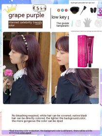 Ammonia-free Hair Color Paste Monochrome Paste Cover White Hair Multi-segment Color One-step Black Tea Gray Blue Black Hair Dye (Option: C5ro66 Grape Purple-With tools)